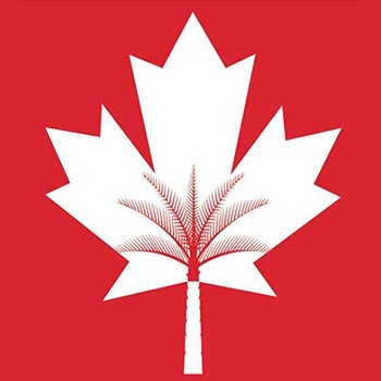 Canadian University Dubai
