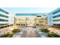 curtin-university-dubai-small-1