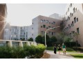 nyu-abu-dhabi-small-2