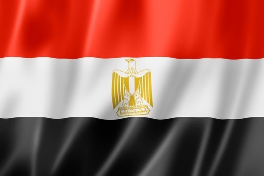 tender-notice-egypt-tenders-big-0