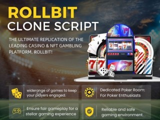 start-earning-big-with-your-own-rollbit-clone-casino-sports-betting-platform