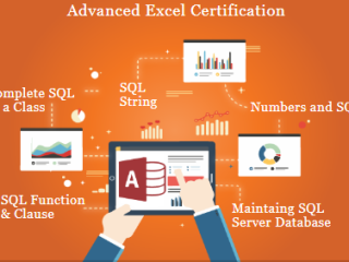 the-evolving-role-of-data-analyst-why-learning-business-analytics-in-2025-matters-100-job-excel-course-in-delhi-110016-by-sla-consultants-india