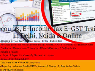 graduation-based-accounting-course-in-delhi-gst-and-custom-training-in-delhi-100-job-guarantee-course-by-sla-consultants